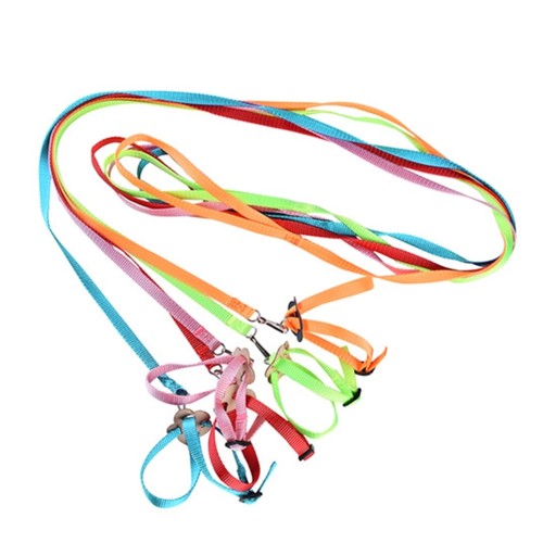 Parrot harness leash - parrot,