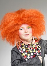 Kids size mad hatter style - mad,