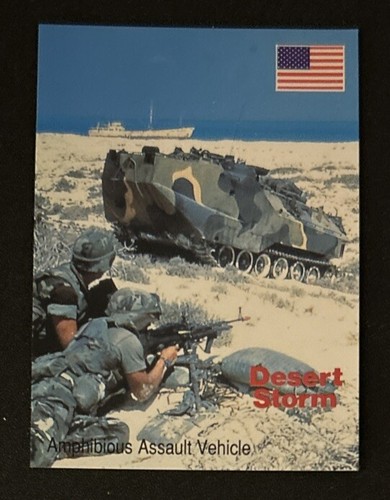 1991 dsi desert storm - 1991,