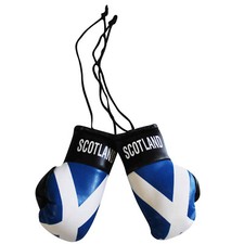 Scotland/Scotish Mini Boxing Gloves