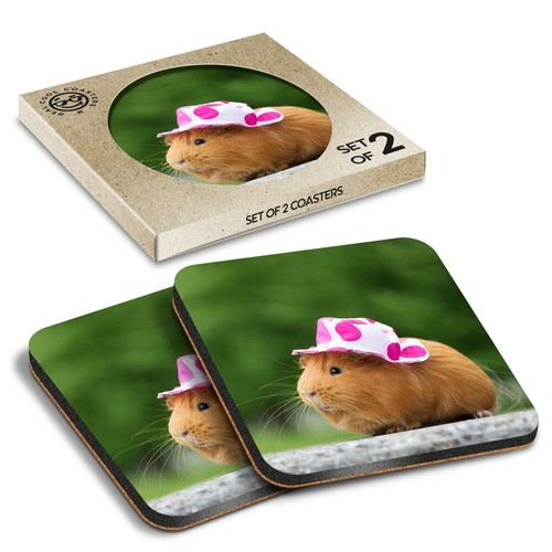 Boxed square coasters - square,