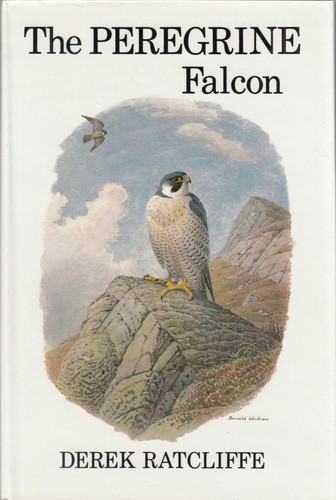 Ratcliffe buteo poyser - /,