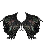 Devil Fashion Black Gothic Crow Feather Shoulder Cloak Shrug Cape Top Steampunk