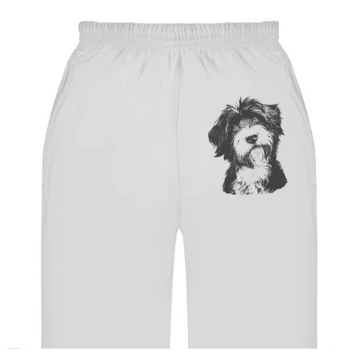 Tibetan terrier portrait - 'tibetan,