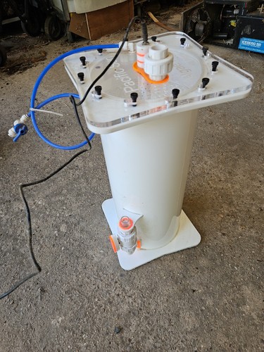Pacific sun algae light - sun,