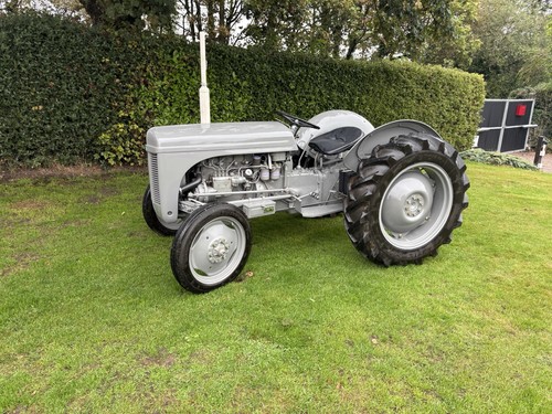 1955 grey ferguson diesel - 1955,