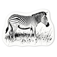 'Zebra Grazing on Grass' Decal