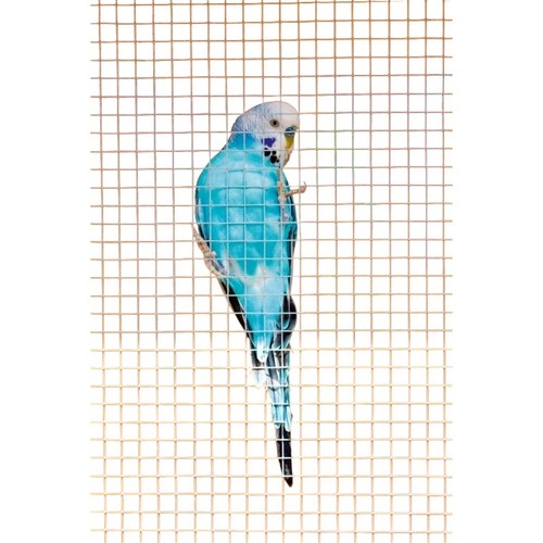 Ambassador cage aviary - ambassador, &