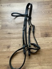 in hand show bridle cob size