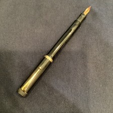VINTAGE PARKER LUCKY CURVE