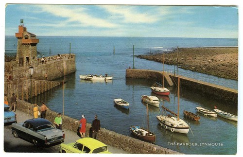 Vintage salmon postcard - vintage,