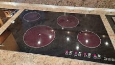 Schott Ceran Induction Hob