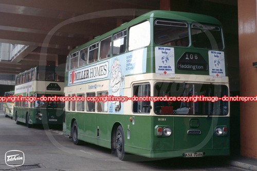 Bus photo eastern - photo,