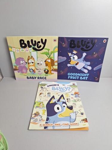 Bluey books bundle joblot - books,
