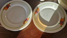2 X Arcopal Dinner Plates