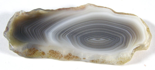 Polished botswana agate slice - botswana,