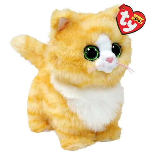 Melanie tabby cat - tabby, beanie