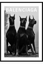 Balenciaga Poster 50x70cm BNWT