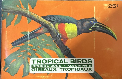 Tropical birds album - album, no