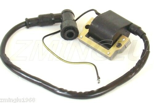 Ignition coil for - coil, ds80