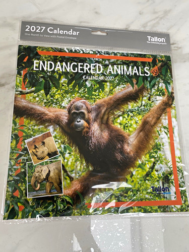 2027 calendar animals - animals, kittens