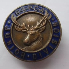 Old Vintage RSPCA Junior Division Badge Horseshoe fastening