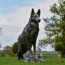 Belgian shepherd dog garden - belgian,