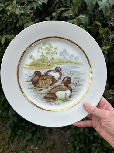 Tufted duck vintage plate - tufted,