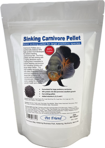 Pet friend carnivore - friend,