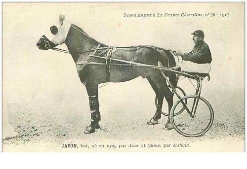 Horse racing 35952 jason - horse,