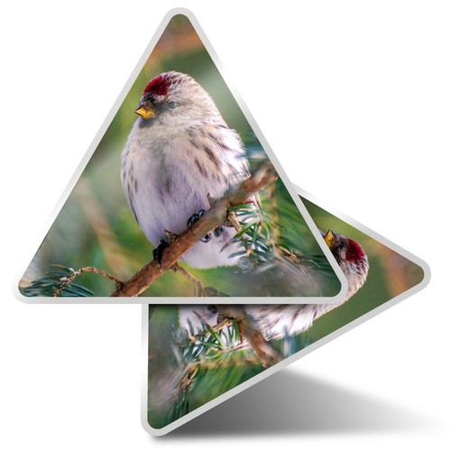 Triangle stickers 5cm - x,