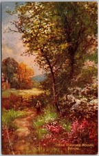 Near Radford Woods Devon