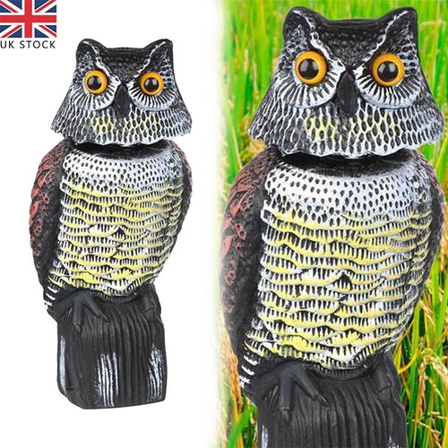 Realistic owl decoy - owl, deterrent