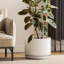 Plant pot large - 30, pot,
