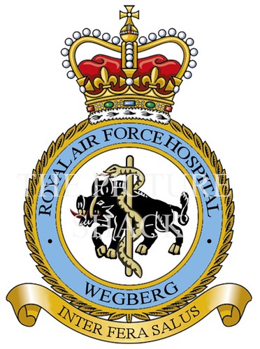 Raf hospital wegberg badge - hospital, on