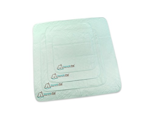 Absorbent training pad - absorbent,
