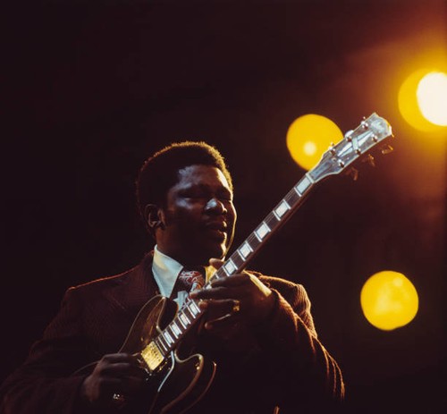 Guitarist king plays a - guitarist, bb
