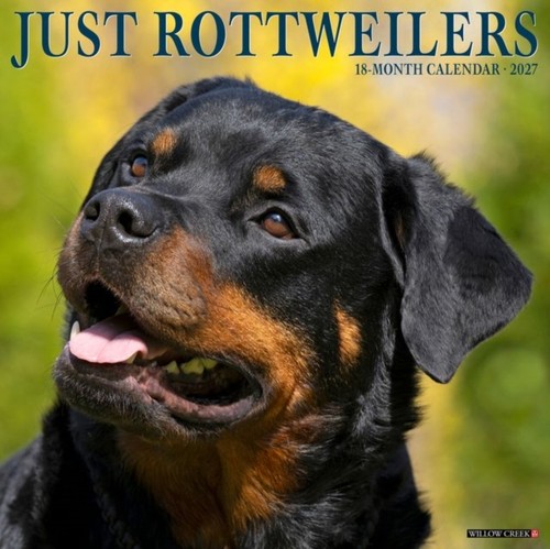 Rottweilers 2027 wall - rottweilers,