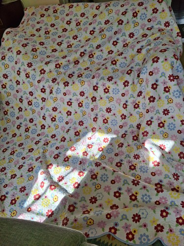 Dunelm mill 100 - dunelm, cotton