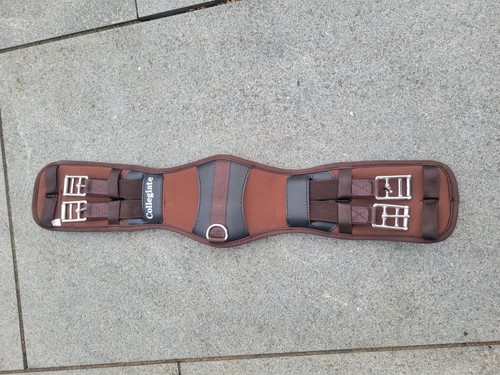 Collegiate brown dressage - brown,