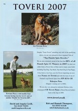 FINNISH SPITZ DOG BREED KENNEL