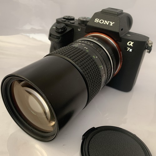 Sony mount mirrorless - e,