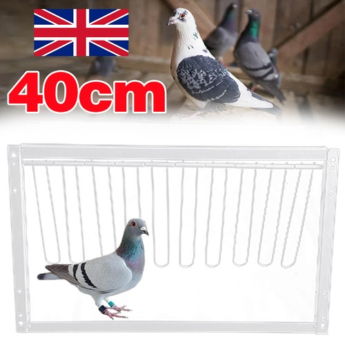 Removable trap door bird - trap, cage