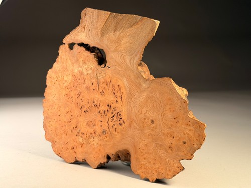 Amazing cap burr - elm, edge