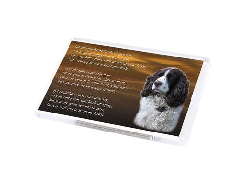 Springer spaniel dog fridge - spaniel,