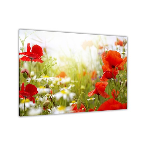 Red flowers daisies - red, canvas