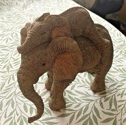 Tuskers elephant collection - tuskers,