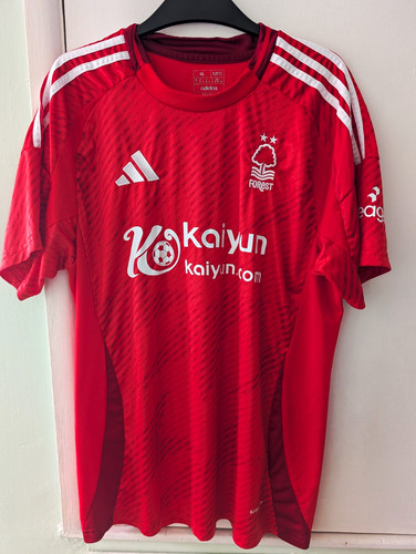Nottingham forest home - nottingham,