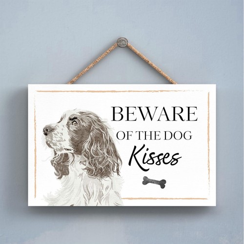 Springer spaniel beware dog - spaniel, of