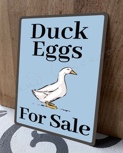 Duck eggs for - duck, sale,